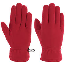 Winter Gloves 