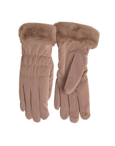 Winter Gloves