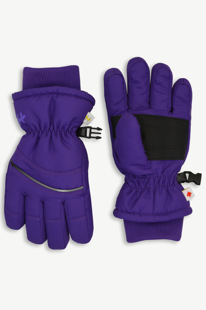 Winter Gloves 